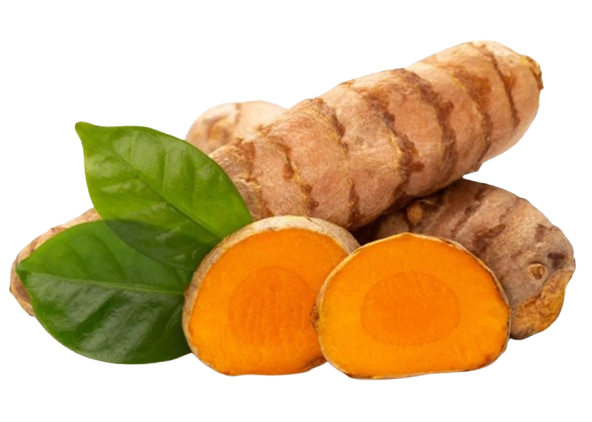 Turmeric